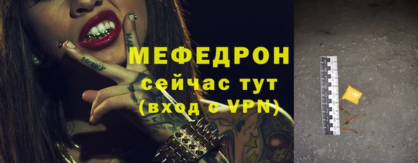 соль ск Ельня