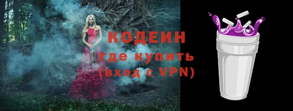 соль ск Ельня