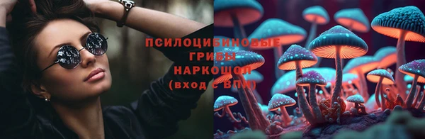 мескалин Елабуга