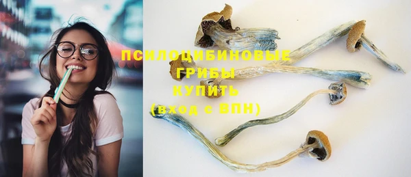 соль ск Ельня