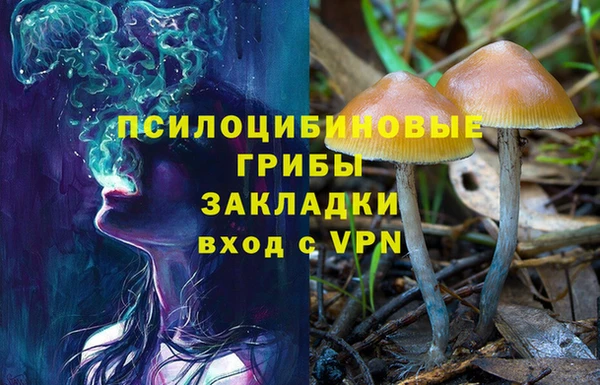 соль ск Ельня
