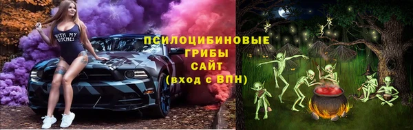 мескалин Елабуга