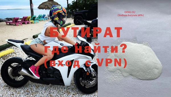 соль ск Ельня
