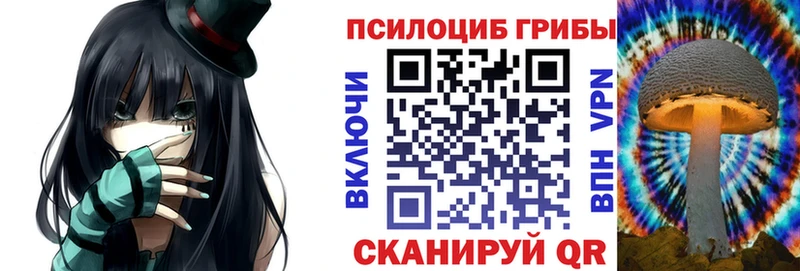 Псилоцибиновые грибы Cubensis  Купить  Лыткарино 